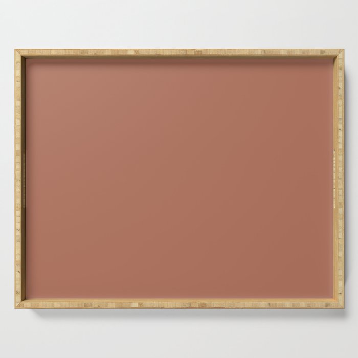 Dark Mid-tone Pink Solid Color Pairs PPG Copper Beech PPG1067-5 - All One Single Shade Hue Colour Serving Tray