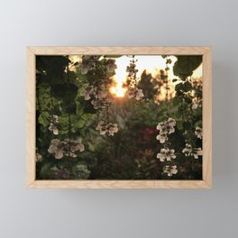 Sunset flowers Framed Mini Art Print