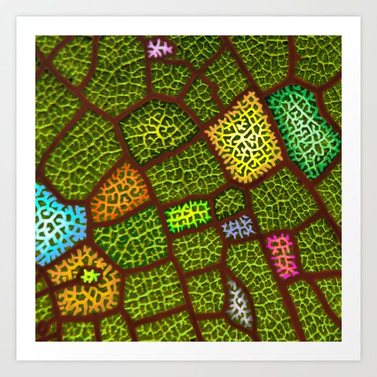 lymph colored Art Print