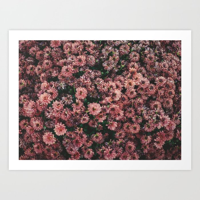 Blush Flowers Art Print
