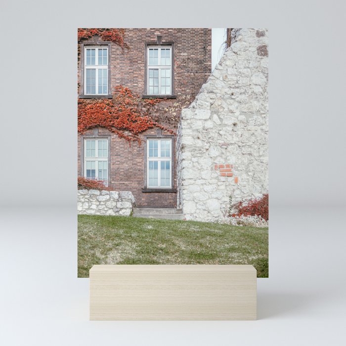 White Stone Red Brick Wall | Wawel Royal Castle Courtyard Krakow Poland Mini Art Print