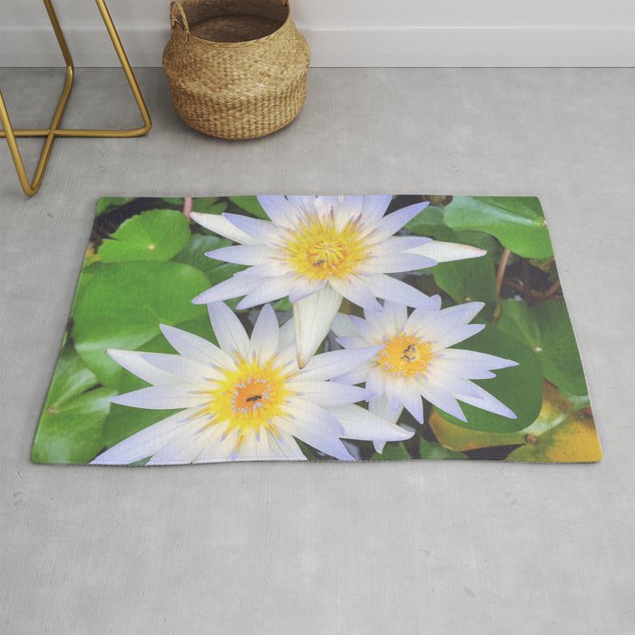 Pretty white water lilies flowers Rug