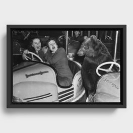 Bear with me; bear riding bumper cars scary women at carnival vintage black and white photograph - photography - photographs wall decor Framed Canvas