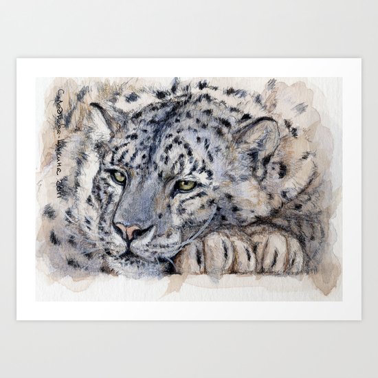 Snow Leopard Resting 778 Art Print