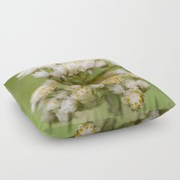 Flower and Beetle Floor Pillow