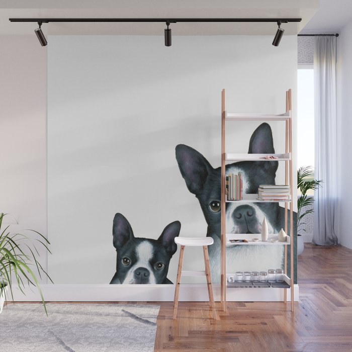 Dog 128 Boston Terrier Dogs black and white Wall Mural
