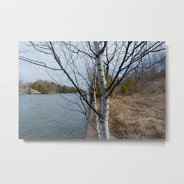 on the canal Metal Print