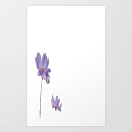 purple flower Art Print