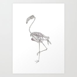 Flamingo Skeleton: Bird Halloween Animal Anatomy Art Print