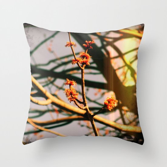 Spring Throw Pillow