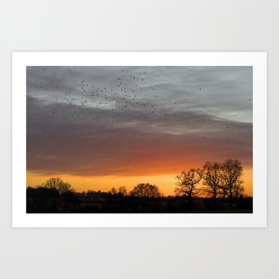 FLY Art Print