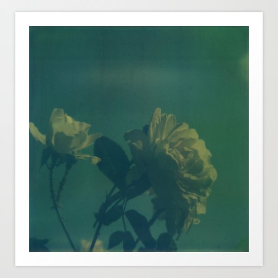 Blue Roses Art Print
