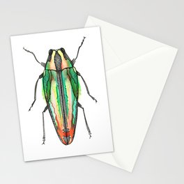 Orange Beetle Stationery Cards