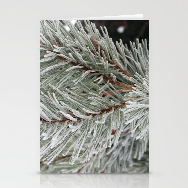 Frosted Pine Needles Stationery Cards