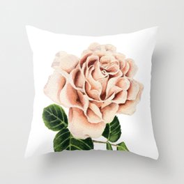  Pink Cappuccino Rose Watercolor Painting Throw Pillow