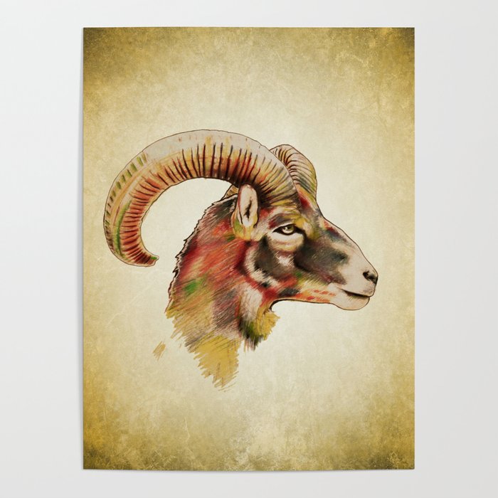 Antelope Poster