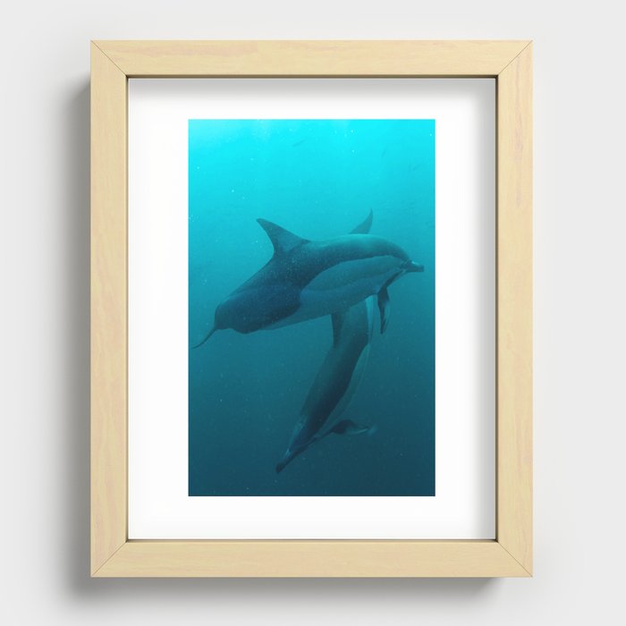 Two Common Dolphins Crossing Recessed Framed Print