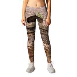 Nature  Leggings