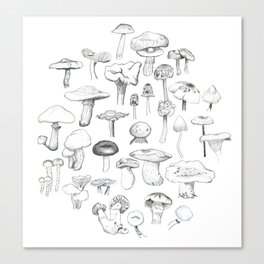 The mushroom gang Canvas Print