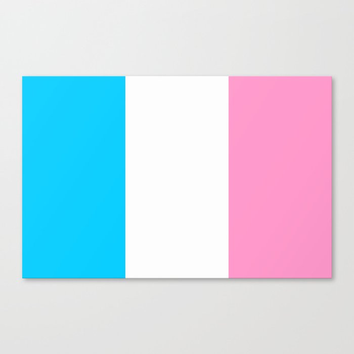 Parody Of The French Flag France Paris Pink Marseille Lyon Bordeaux Love Girly Fun Idyll Nice Canvas Print By Oldking Society6