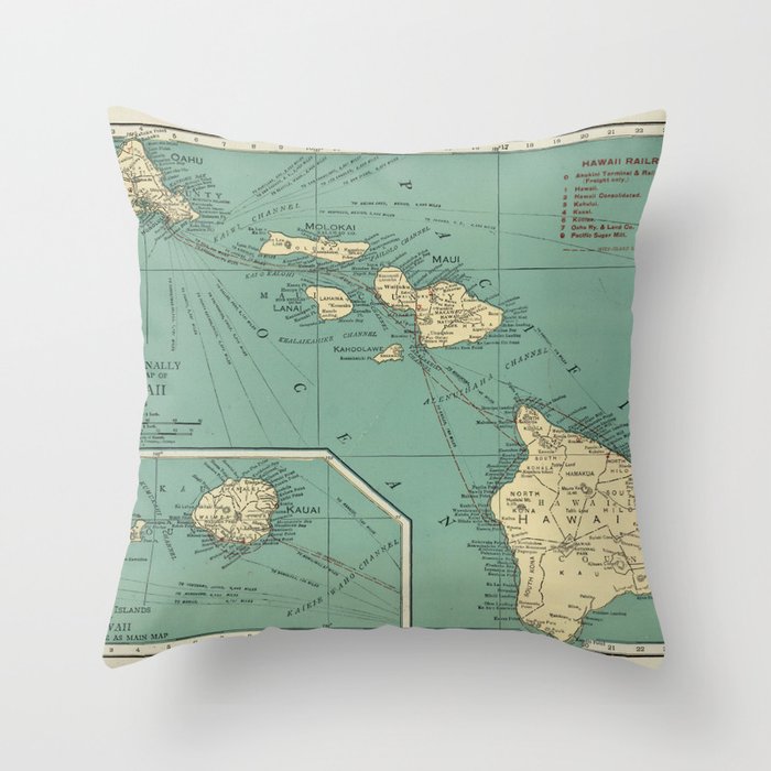 Throw Pillow