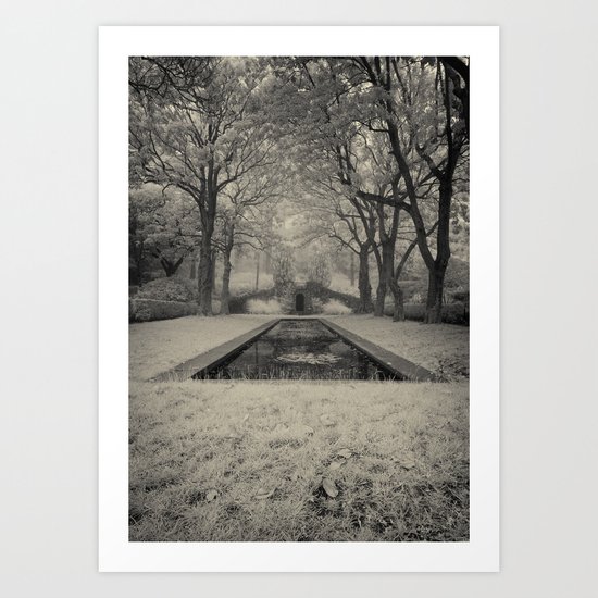 Six Magnolia Trees Art Print