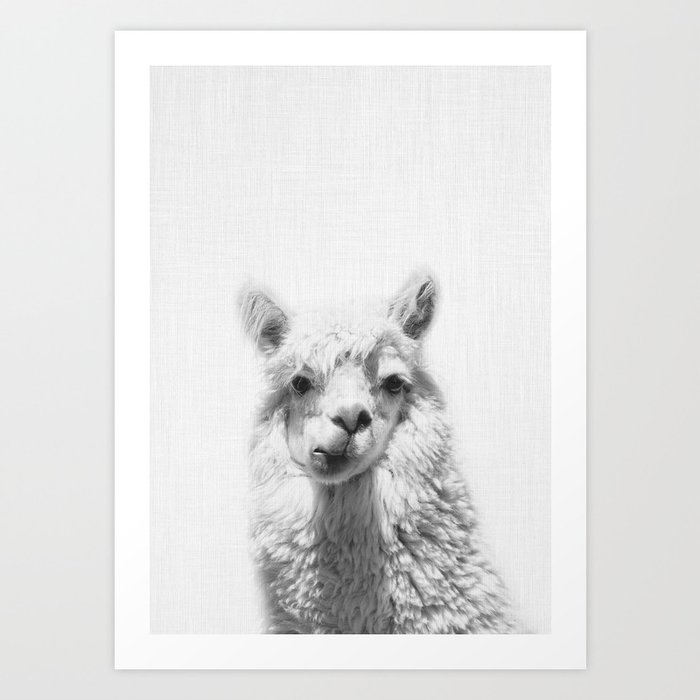 Alpaca Art Print By Taiprints Society6