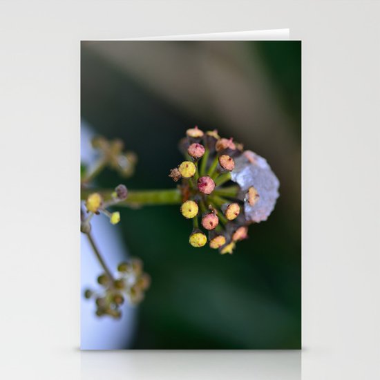 Wild Ivy Stationery Cards