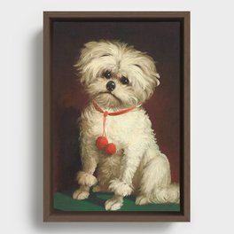  Little dog Framed Canvas