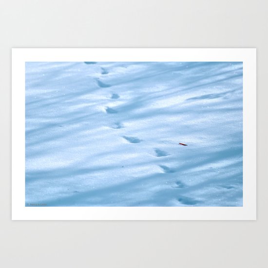Snow Fall Feather Art Print