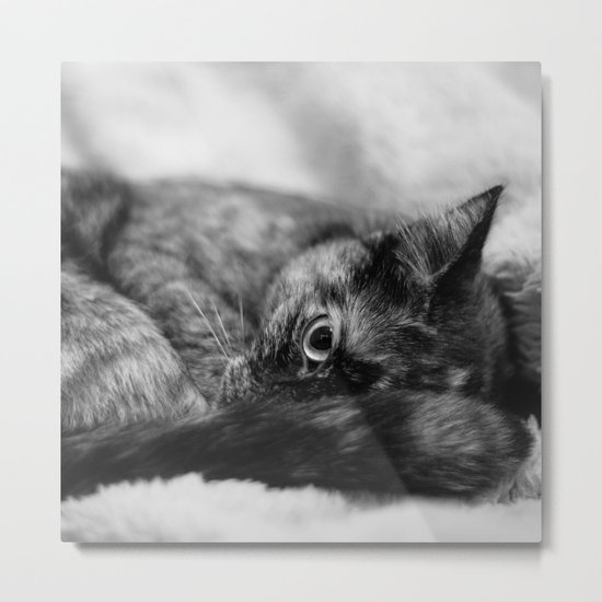 Cat I Metal Print