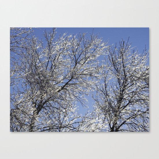 Sparkling Iced Branches Canvas Print