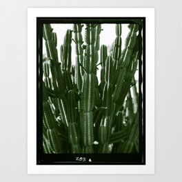 Vintage Cactus Print II Art Print