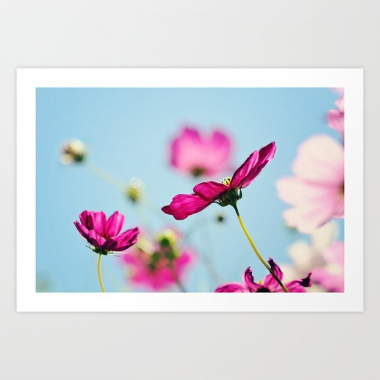 Summer flowers Art Print