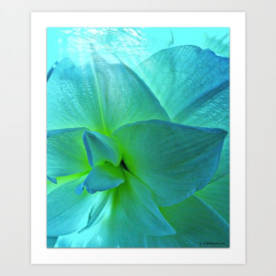 My Georgia O'Keefe Flower Art Print