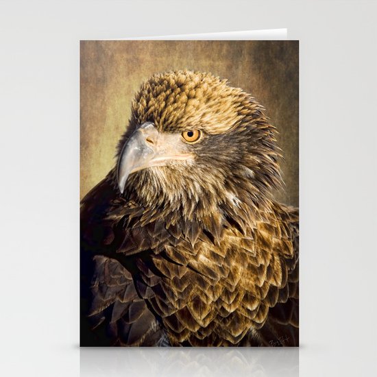 Fine Feathered Friend Stationery Cards