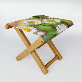 Wildflower Folding Stool