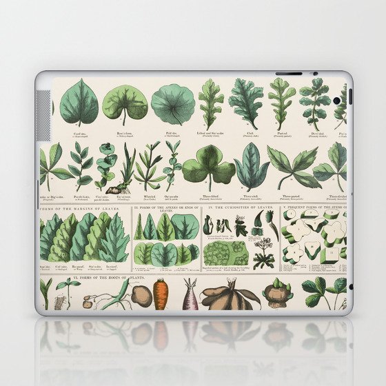 Plant School and Family Charts (Marcius Willson and Norman A. Calkins) Laptop & iPad Skin