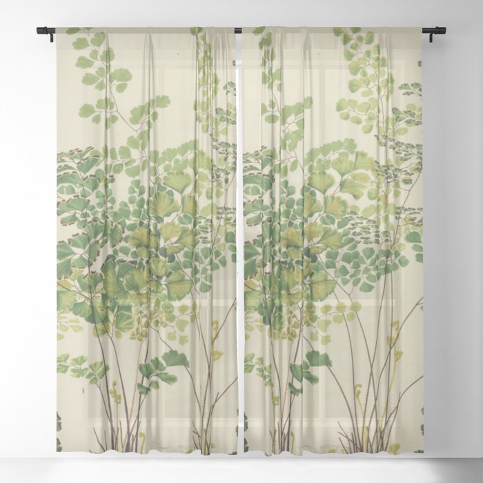 Maidenhair Ferns Sheer Curtain