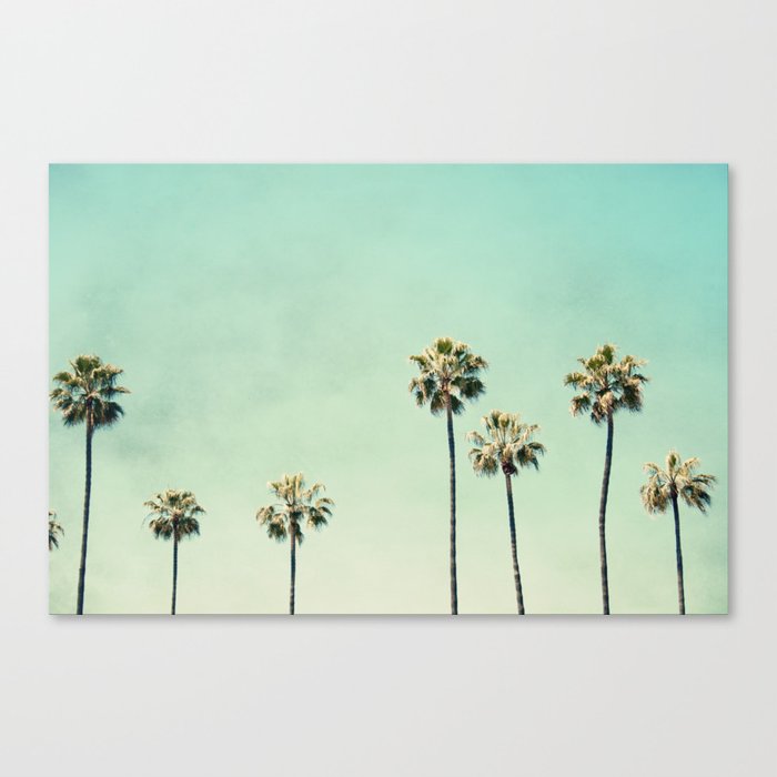 Palm Tree Photography Canvas Print