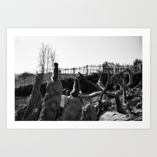 Sunbathing Art Print