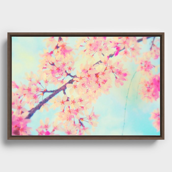 Cherry blossoms Framed Canvas