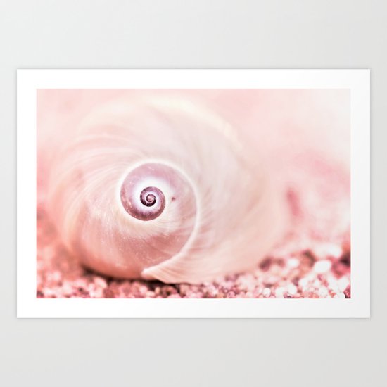 Dream of last summer II - Snail Shell in pink Art Print