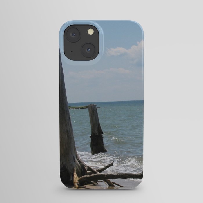 Chesapeake Bay Beach iPhone Case