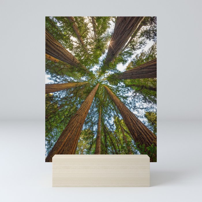 Mini Art Print