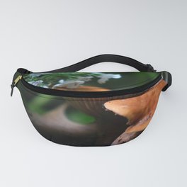 Mushrooms Under Catmint Flowers Fanny Pack