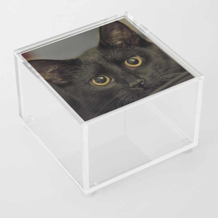 black cat Acrylic Box