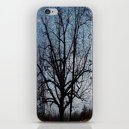 Nature Engraved  iPhone Skin