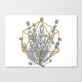 Lavender in Icosahedron Watercolor Canvas Print