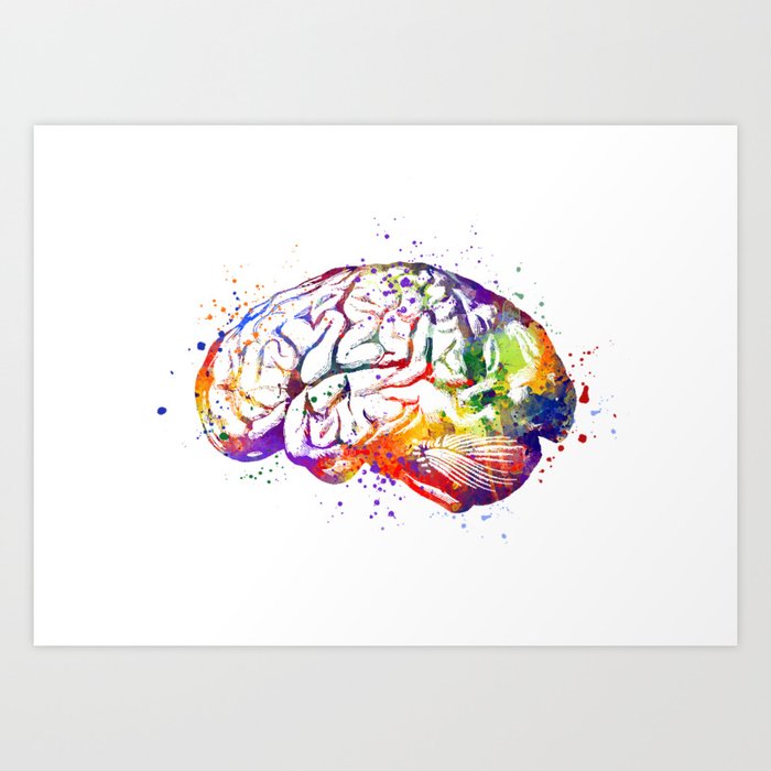 Brain Anatomy Watercolor Print Science Art Neurology Decor Medical Art Print